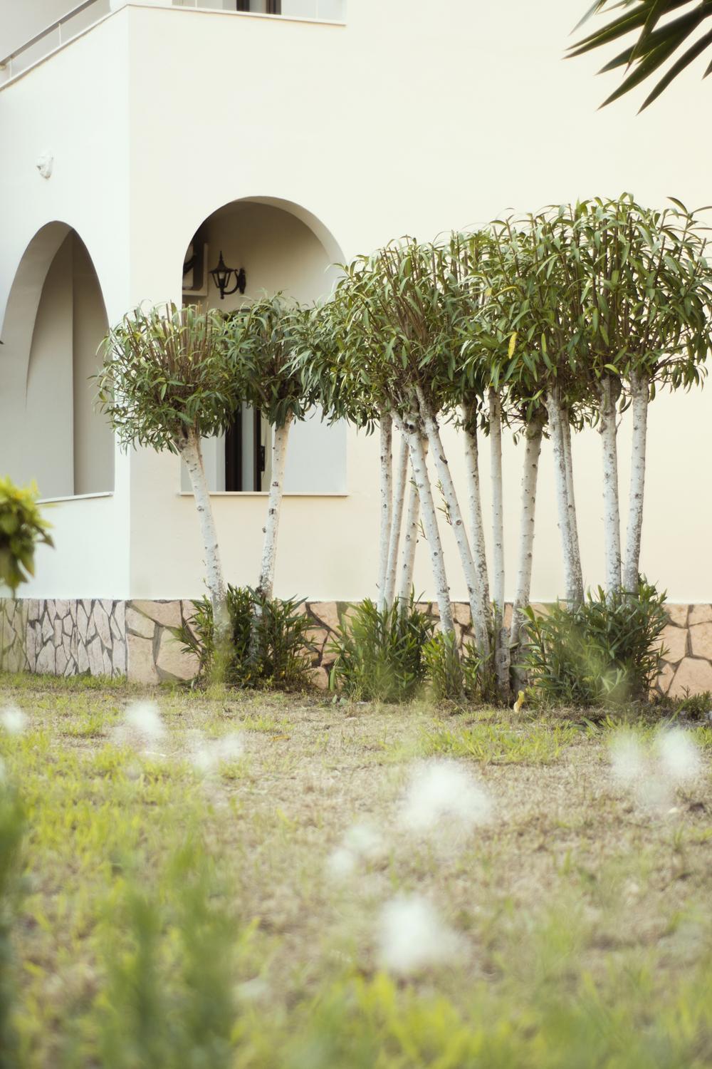 Parakladi Seaside Retreat Daire Lefkimmi  Dış mekan fotoğraf